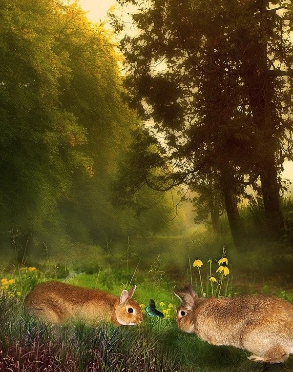 ATTENTION AUX CHASSEURS