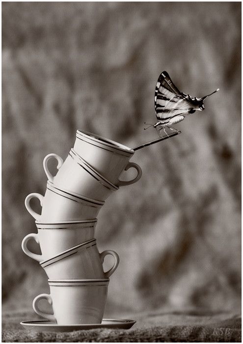papillonnage