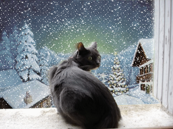 Image du Blog tchounette.centerblog.net