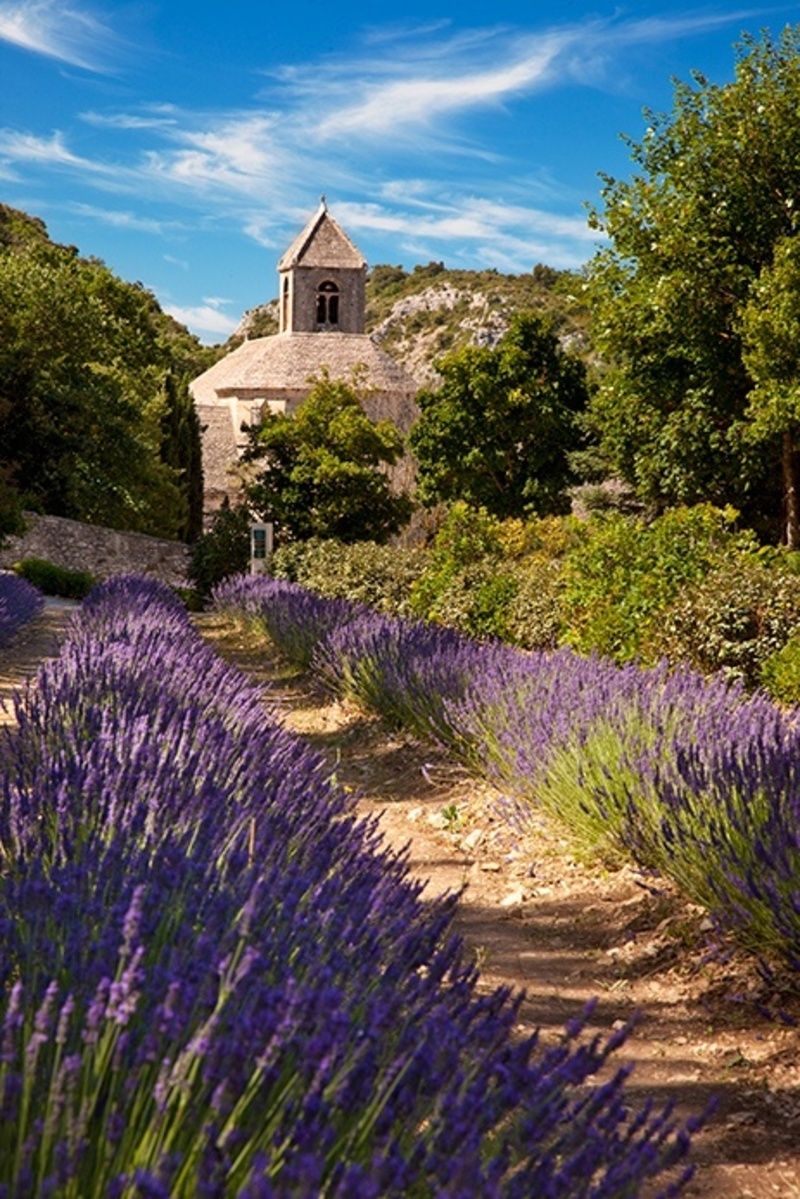 PAYSAGE DE PROVENCE.